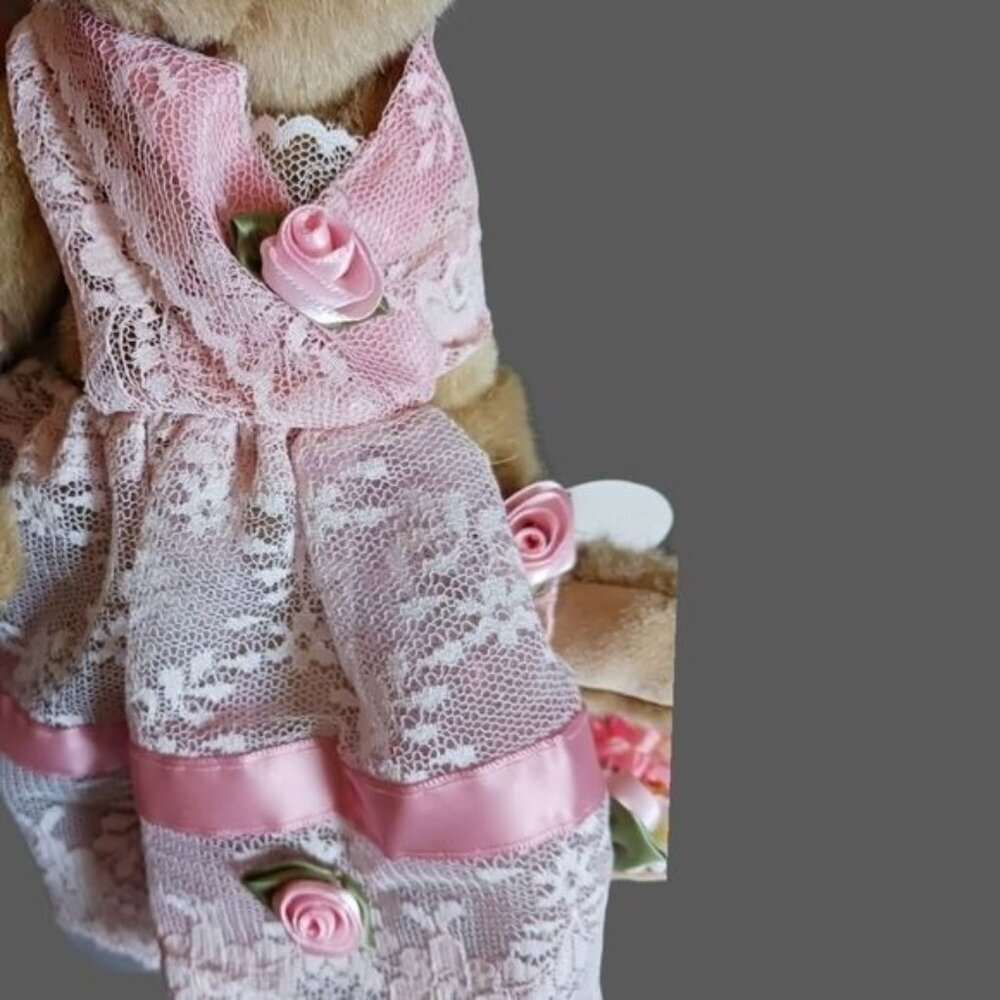 Annette funicello vtg flower girl bear pink lace dress - Picture 4 of 11